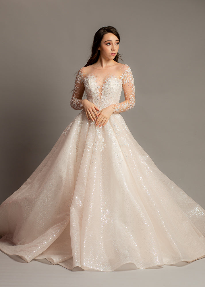 Blush Sparkling Sequin Tulle Wedding Dress with long sleeves