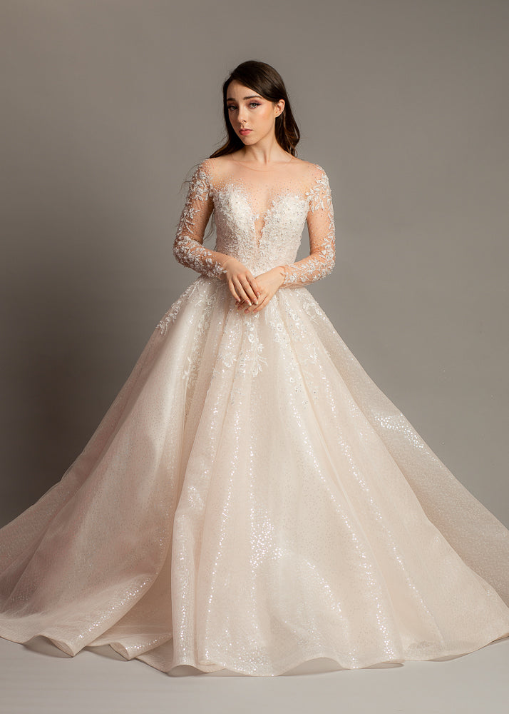 Blush Sparkling Sequin Tulle Wedding Dress with long sleeves