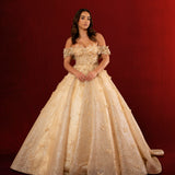 Jaylyn sparkling gold princess dress with off the shoulder sleeves and 3D butterflies for hire