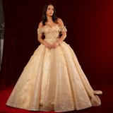 Jaylyn sparkling gold princess dress with off the shoulder sleeves and 3D butterflies for hire