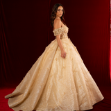 Jaylyn sparkling gold princess dress with off the shoulder sleeves and 3D butterflies for hire