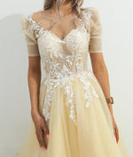 Sparkling light gold tulle princess dress with sleeves for hire