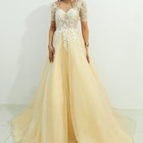Sparkling light gold tulle princess dress with sleeves for hire