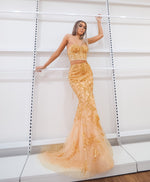 Sparkling gold bustier two piece mermaid dress for hire
