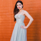 Sparkling bustier top princess dress for hire