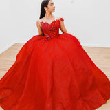 Dark red with hand made 3D flower bodice princess dress