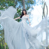 Princess walk grey wedding dress