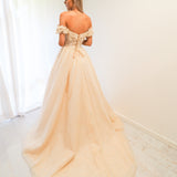Sparkling light gold tulle princess dress for hire